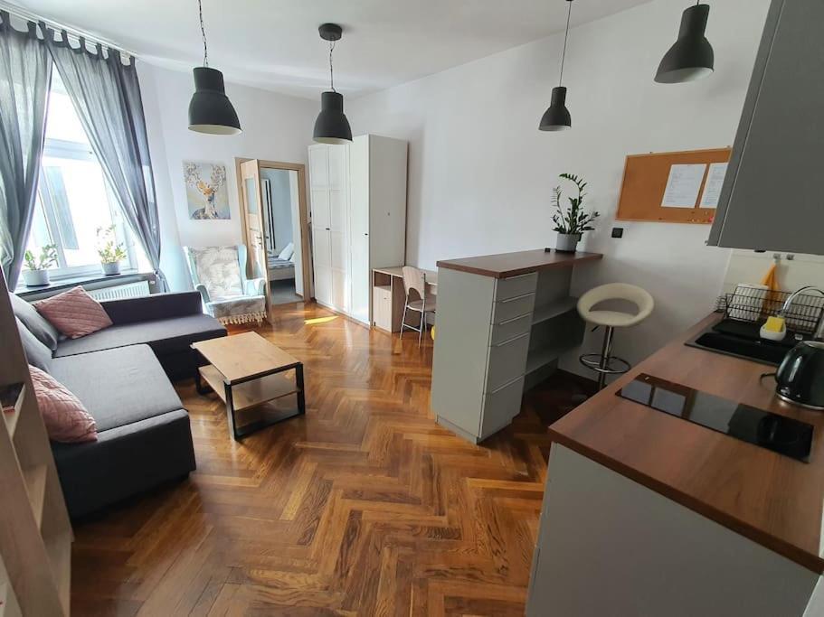 Apartament Przy Szkole Filmowej, Darmowy Parking Łódź Esterno foto